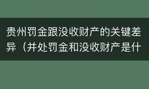贵州罚金跟没收财产的关键差异（并处罚金和没收财产是什么意思）