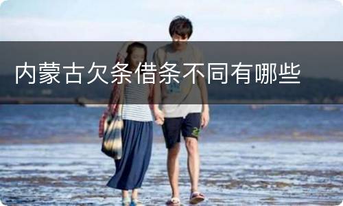 内蒙古欠条借条不同有哪些