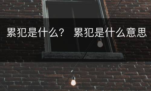 累犯是什么？ 累犯是什么意思
