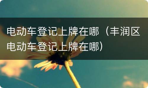 电动车登记上牌在哪（丰润区电动车登记上牌在哪）