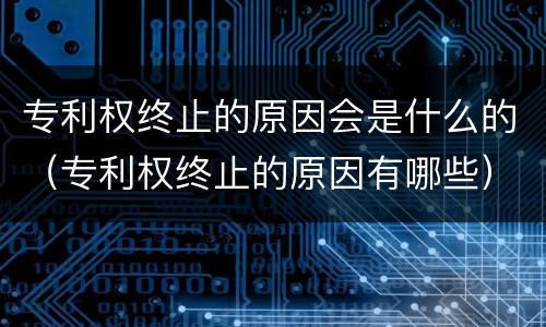 专利权终止的原因会是什么的（专利权终止的原因有哪些）