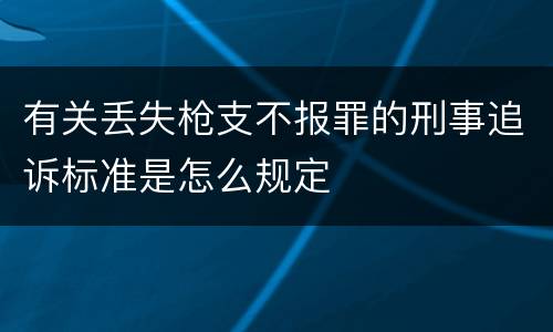有关丢失枪支不报罪的刑事追诉标准是怎么规定