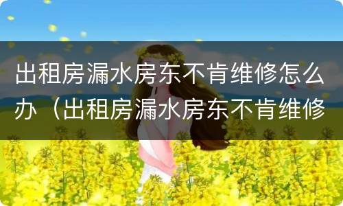 出租房漏水房东不肯维修怎么办（出租房漏水房东不肯维修怎么办呢）