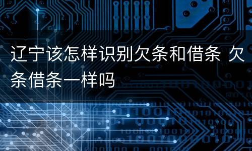 辽宁该怎样识别欠条和借条 欠条借条一样吗