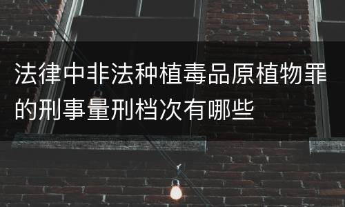 法律中非法种植毒品原植物罪的刑事量刑档次有哪些