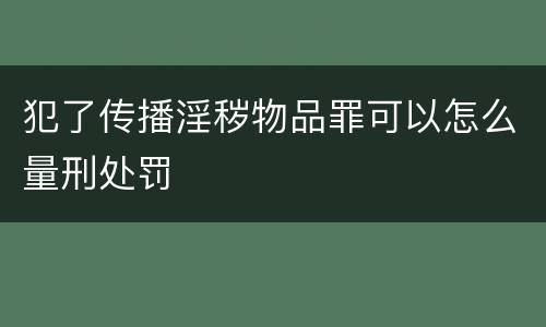 犯了传播淫秽物品罪可以怎么量刑处罚