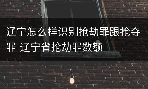辽宁怎么样识别抢劫罪跟抢夺罪 辽宁省抢劫罪数额