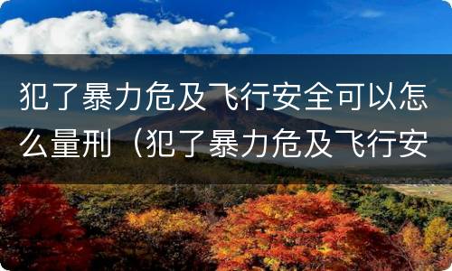 犯了暴力危及飞行安全可以怎么量刑（犯了暴力危及飞行安全可以怎么量刑呢）