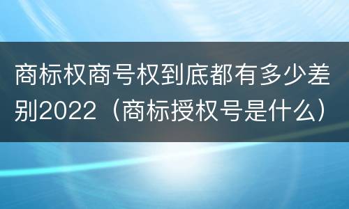 商标权商号权到底都有多少差别2022（商标授权号是什么）
