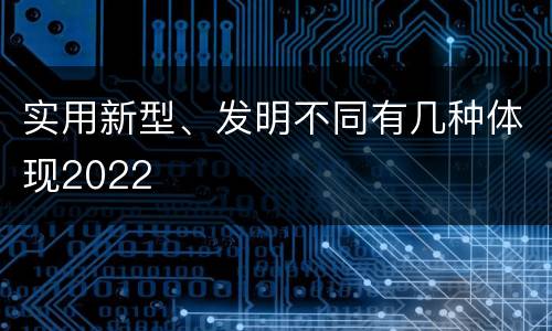 实用新型、发明不同有几种体现2022