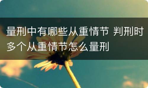 量刑中有哪些从重情节 判刑时多个从重情节怎么量刑