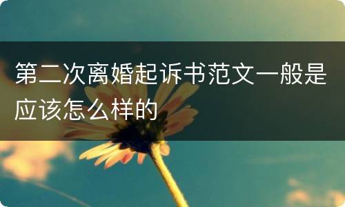 第二次离婚起诉书范文一般是应该怎么样的