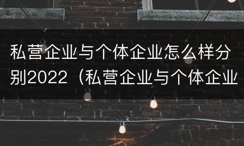 私营企业与个体企业怎么样分别2022（私营企业与个体企业怎么样分别2022年报税）
