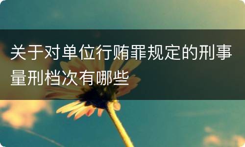 关于对单位行贿罪规定的刑事量刑档次有哪些