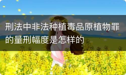 刑法中非法种植毒品原植物罪的量刑幅度是怎样的