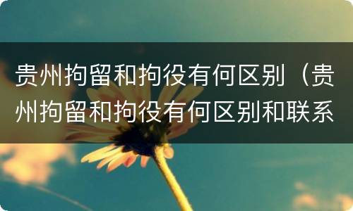 贵州拘留和拘役有何区别（贵州拘留和拘役有何区别和联系）