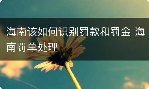 海南该如何识别罚款和罚金 海南罚单处理