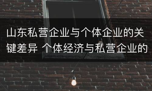 山东私营企业与个体企业的关键差异 个体经济与私营企业的区别