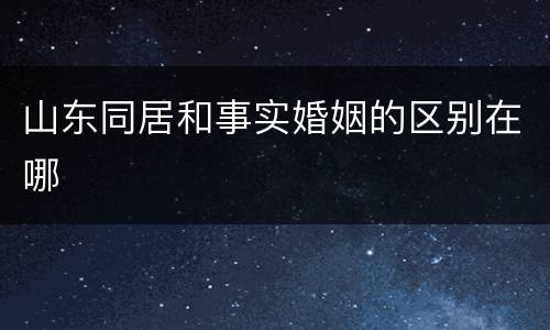 山东同居和事实婚姻的区别在哪