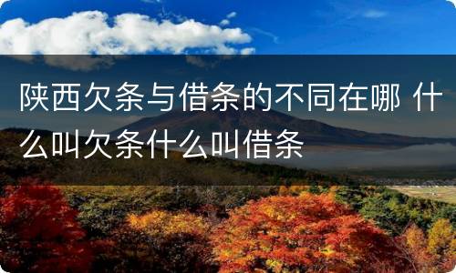 陕西欠条与借条的不同在哪 什么叫欠条什么叫借条