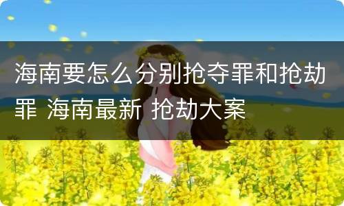 海南要怎么分别抢夺罪和抢劫罪 海南最新 抢劫大案