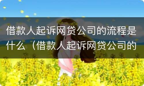 借款人起诉网贷公司的流程是什么（借款人起诉网贷公司的流程是什么样的）
