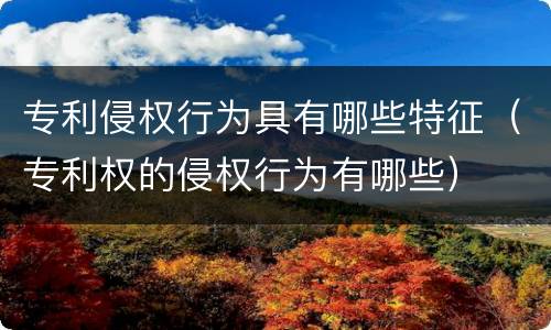 专利侵权行为具有哪些特征（专利权的侵权行为有哪些）
