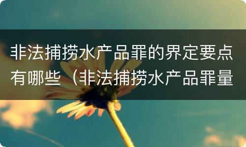 非法捕捞水产品罪的界定要点有哪些（非法捕捞水产品罪量刑）