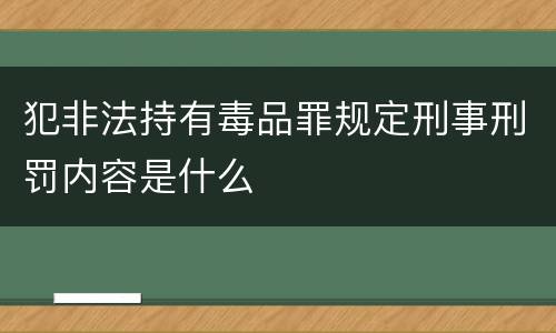 犯非法持有毒品罪规定刑事刑罚内容是什么