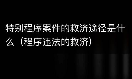 特别程序案件的救济途径是什么（程序违法的救济）