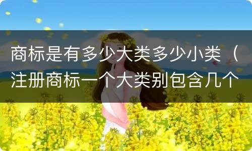商标是有多少大类多少小类（注册商标一个大类别包含几个小类别）