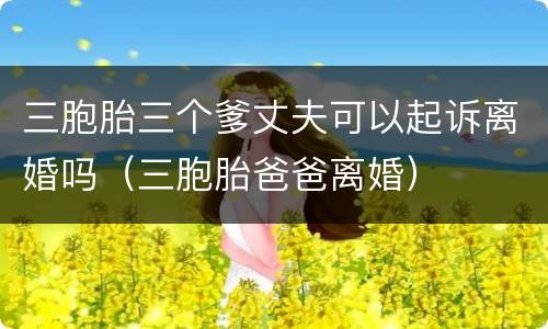 三胞胎三个爹丈夫可以起诉离婚吗（三胞胎爸爸离婚）