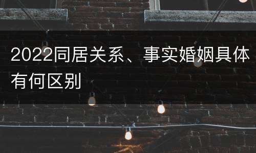 2022同居关系、事实婚姻具体有何区别