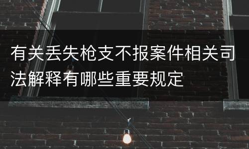 有关丢失枪支不报案件相关司法解释有哪些重要规定