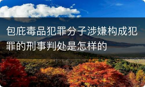 包庇毒品犯罪分子涉嫌构成犯罪的刑事判处是怎样的
