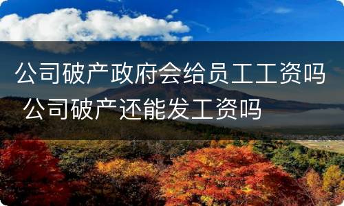 公司破产政府会给员工工资吗 公司破产还能发工资吗