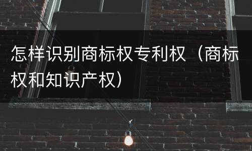 怎样识别商标权专利权（商标权和知识产权）