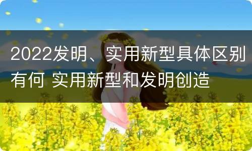 2022发明、实用新型具体区别有何 实用新型和发明创造