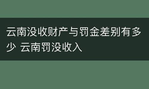 云南没收财产与罚金差别有多少 云南罚没收入