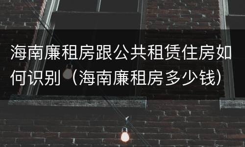 海南廉租房跟公共租赁住房如何识别（海南廉租房多少钱）