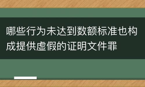 哪些行为未达到数额标准也构成提供虚假的证明文件罪