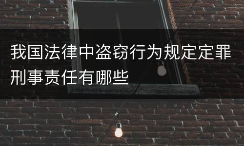 我国法律中盗窃行为规定定罪刑事责任有哪些