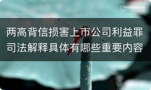 两高背信损害上市公司利益罪司法解释具体有哪些重要内容