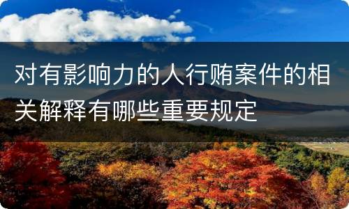 对有影响力的人行贿案件的相关解释有哪些重要规定