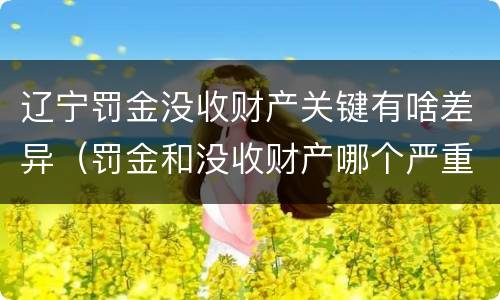 辽宁罚金没收财产关键有啥差异（罚金和没收财产哪个严重）