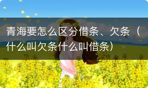 青海要怎么区分借条、欠条（什么叫欠条什么叫借条）