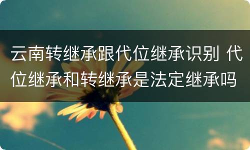 云南转继承跟代位继承识别 代位继承和转继承是法定继承吗