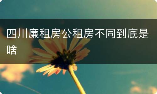 四川廉租房公租房不同到底是啥