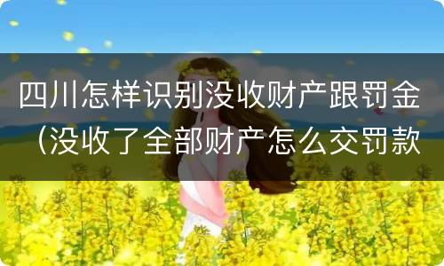 四川怎样识别没收财产跟罚金（没收了全部财产怎么交罚款）