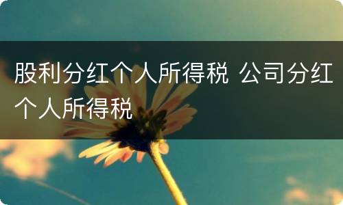 股利分红个人所得税 公司分红个人所得税